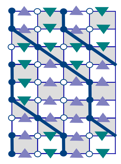 Snapshots of Gauge Fields and Matter